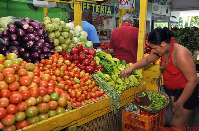 RD pierde RD$40 MM en veda impuesta por EE.UU