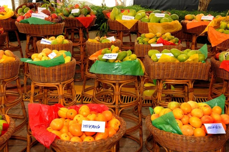 RD esta en capacidad de exportar US$100 MM en mangos