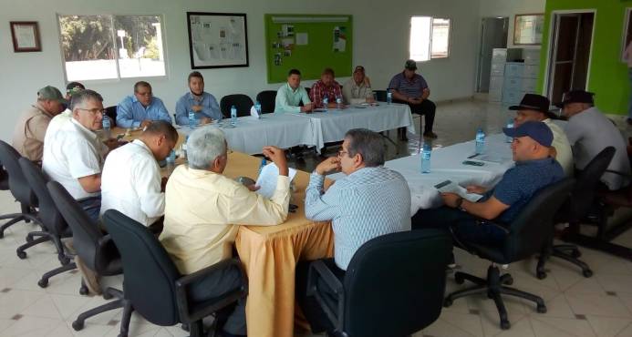 Confederación Nacional de Productores Agropecuarios busca recuperar siembra de ajo en Constanza