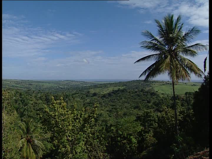 Superficie forestal de RD representa 43,6 % de todo el territorio