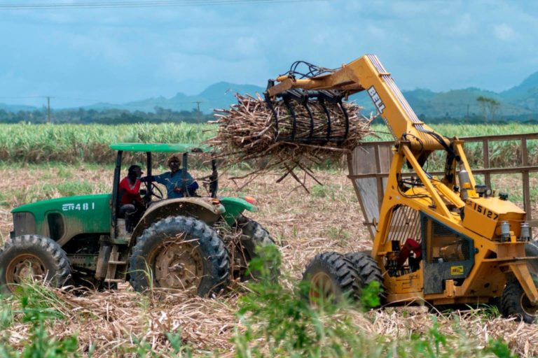 La Unión Nacional Azucarera sugiere medidas para proteger mercado