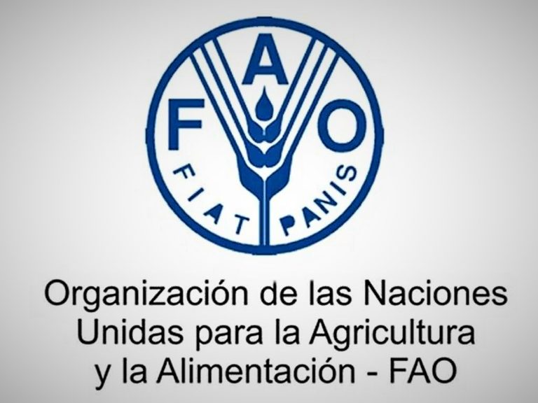 FAO: Pobreza y hambre en RD se redujeron 50% en últimos 15 años
