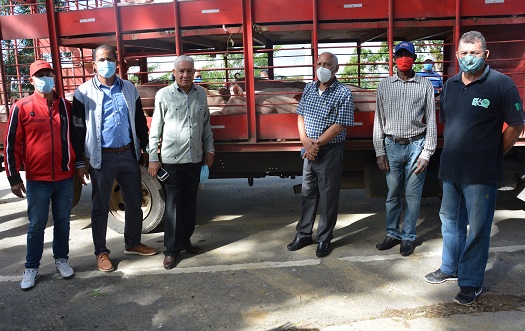 FEDA entrega cerdas, vacas y pollitas ponedoras campesinos