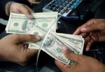 Remesas a RD crecieron 6,5 por ciento