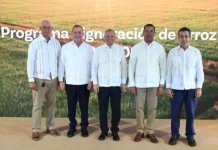 Banreservas dispone de RD$12,000 MM para financiar arroz